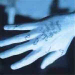 Break  - Idols In The Shape Of Falling Angels download flac mp3