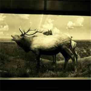 Dark Dark Dark - The Snow Magic download flac mp3