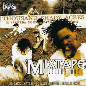 Shady Nate - Thousand Shady Acres download flac mp3