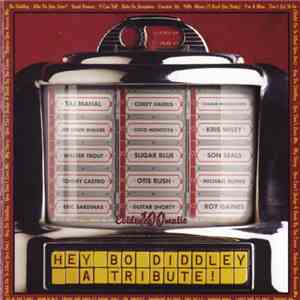 Various - Hey Bo Diddley - A Tribute ! download flac mp3