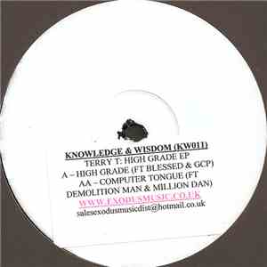 Terry T - High Grade EP download flac mp3