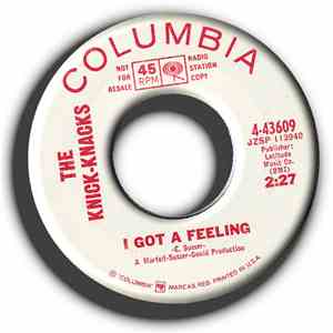 The Knick-Knacks - I Got A Feeling download flac mp3