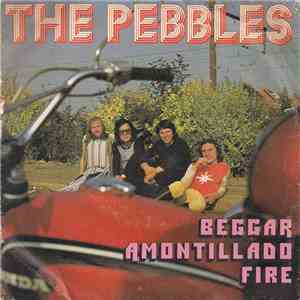 The Pebbles - Beggar download flac mp3
