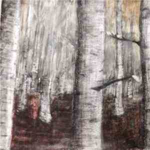 The Rabbit and Dragon - Sedimentary download flac mp3