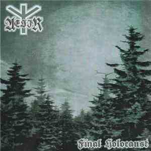 AESIR - Final Holocaust download flac mp3