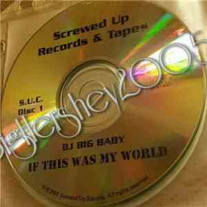 DJ Big Baby - If This Was My World download flac mp3