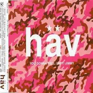 HAV  - You Gonna Feel download flac mp3