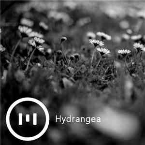 Hydrangea - Monument 131 download flac mp3