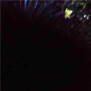 Paul Gonzenbach - Slow Fire Volume 4 download flac mp3