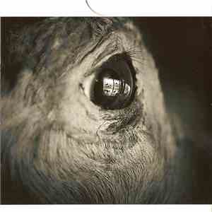 Sonitus Eco - The Past That Was Embraced By Sorrow download flac mp3