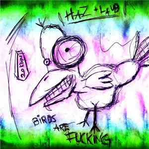 Haz + Laub - Birds Are Fucking download flac mp3
