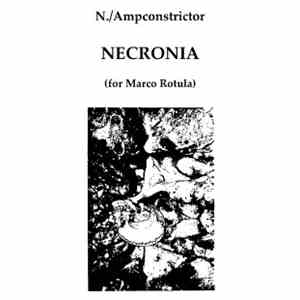 N. / Ampconstrictor - Necronia (Dedicated To Marco Corbelli) download flac mp3
