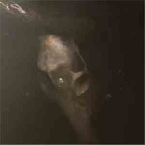 Pray For Teeth - From The Dry Edge Of The Shore download flac mp3