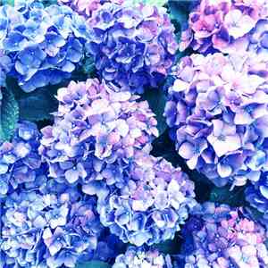 10minimal - Tropfen download flac mp3