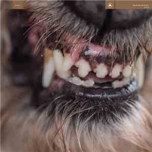 Blanck Mass - World Eater download flac mp3