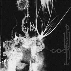 PKWST - I download flac mp3