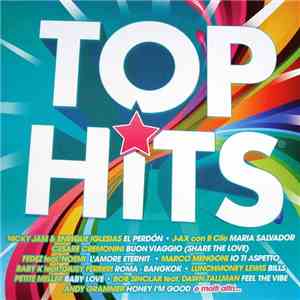 Various - Top Hits download flac mp3