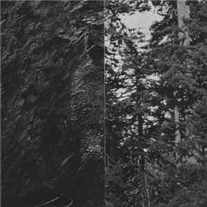 Brandon Hurtado, Toner War - Frost / Never Felt download flac mp3
