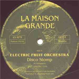 Electric Fruit Orchestra - Disco Stomp download flac mp3