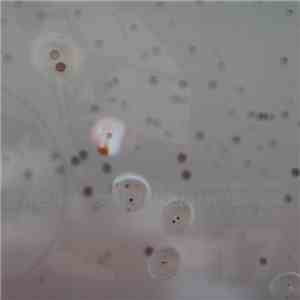 Henrik Schwarz / Âme / Dixon - D.P.O.M.B. EP download flac mp3