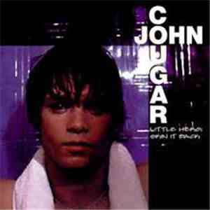 John Cougar Mellencamp - little hero: skin it back download flac mp3