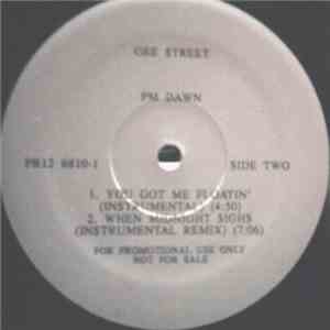 PM Dawn - You Got Me Floatin' download flac mp3