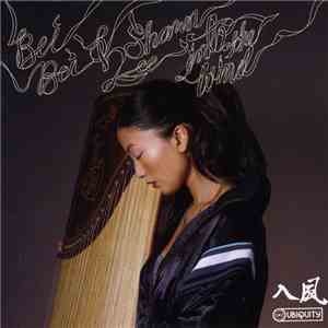 Shawn Lee & Bei Bei - Into The Wind download flac mp3