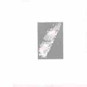 Simon Wickham-Smith - Dyrø download flac mp3