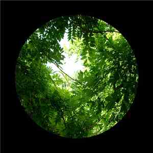 United Bible Studies - The Arboreal Observatory download flac mp3