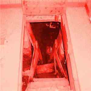 Murray The Cop - Piebrain/Brainpie download flac mp3