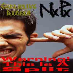 Nauseating Pain, Explosive Diaria - Warning! This Is A Split download flac mp3