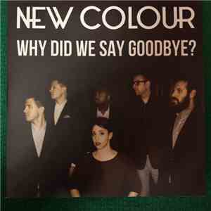 New Colour - Why did we say goodbye? download flac mp3