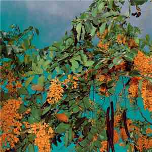 Onzo - 001 download flac mp3