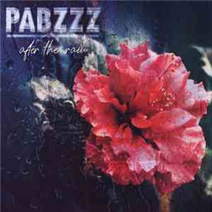 Pabzzz - After The Rain download flac mp3
