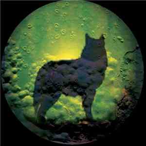 Sense - Kompaktkiste Tontraeger 08 download flac mp3