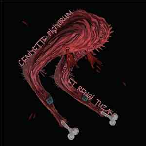 Cemiyette Pişiyorum - Et Rengi Tuzak download flac mp3