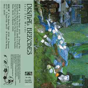 Dismal Beeches - Into The Woods download flac mp3