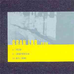 Gran Lab - Fear download flac mp3
