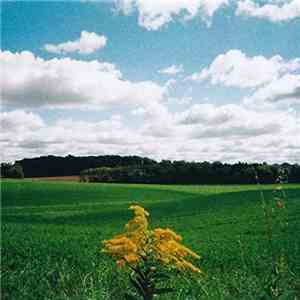 Mark Kozelek - Night Talks - EP download flac mp3