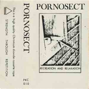 Pornosect - Recreation And Relaxation download flac mp3