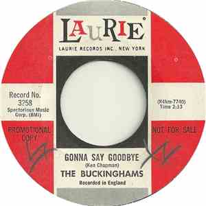 The Buckinghams  - Gonna Say Goodbye download flac mp3