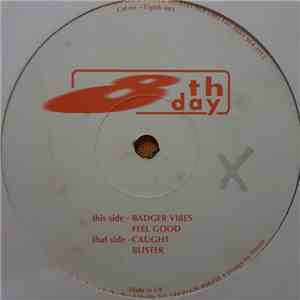 The Rurals - Badger Vibes download flac mp3