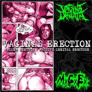 VxDx / MxGxEx - Vaginal Erection download flac mp3