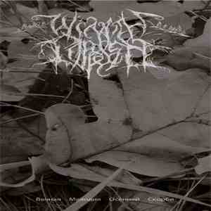 Winter Depression - Вечная Мелодия Осенней Скорби download flac mp3