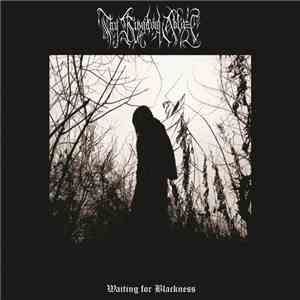 Thy Kingdom Ablaze - Waiting For Blackness download flac mp3