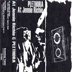 At Jennie Richie / Plethora - Split download flac mp3