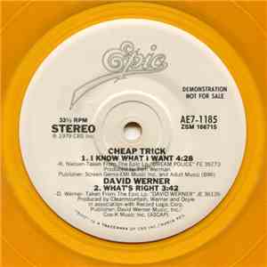 Cheap Trick / David Werner / Molly Hatchet - I Know What I Want / What's Right / Gator Country (Live) download flac mp3