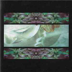 Damian R. Master - This Time I'll Find You download flac mp3