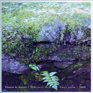 Damon & Naomi - Shibuya O-Nest Tokyo, Japan 2008 download flac mp3