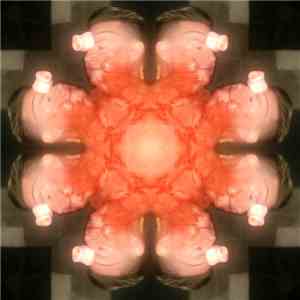 P6 - MAN/MAL download flac mp3